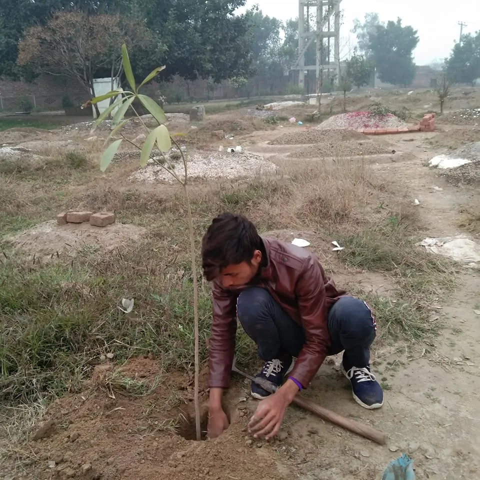 Green Seekers Activity